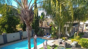Una piscina rodeada de sillones de descanso y un pequeño jardín con palmeras y arbustos.