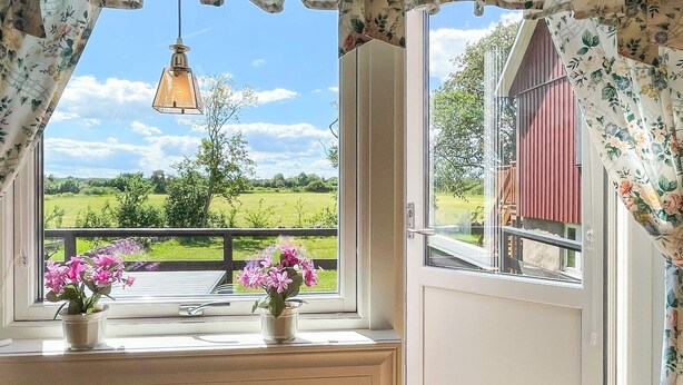 A room with a view of a red barn, a hanging light fixture, and two potted plants on the windowsill. - 4 Person Holiday Home in Borgholm (Borgholm)