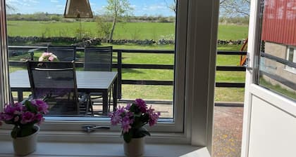 4 Person Holiday Home in Borgholm