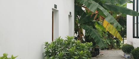 Un edificio bianco con un patio in legno, piante in vaso e una grande pianta di banano.