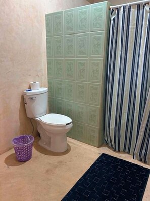 Ein Badezimmer mit Toilette, einer Duschvorhang und einer Fußmatte mit Muster.