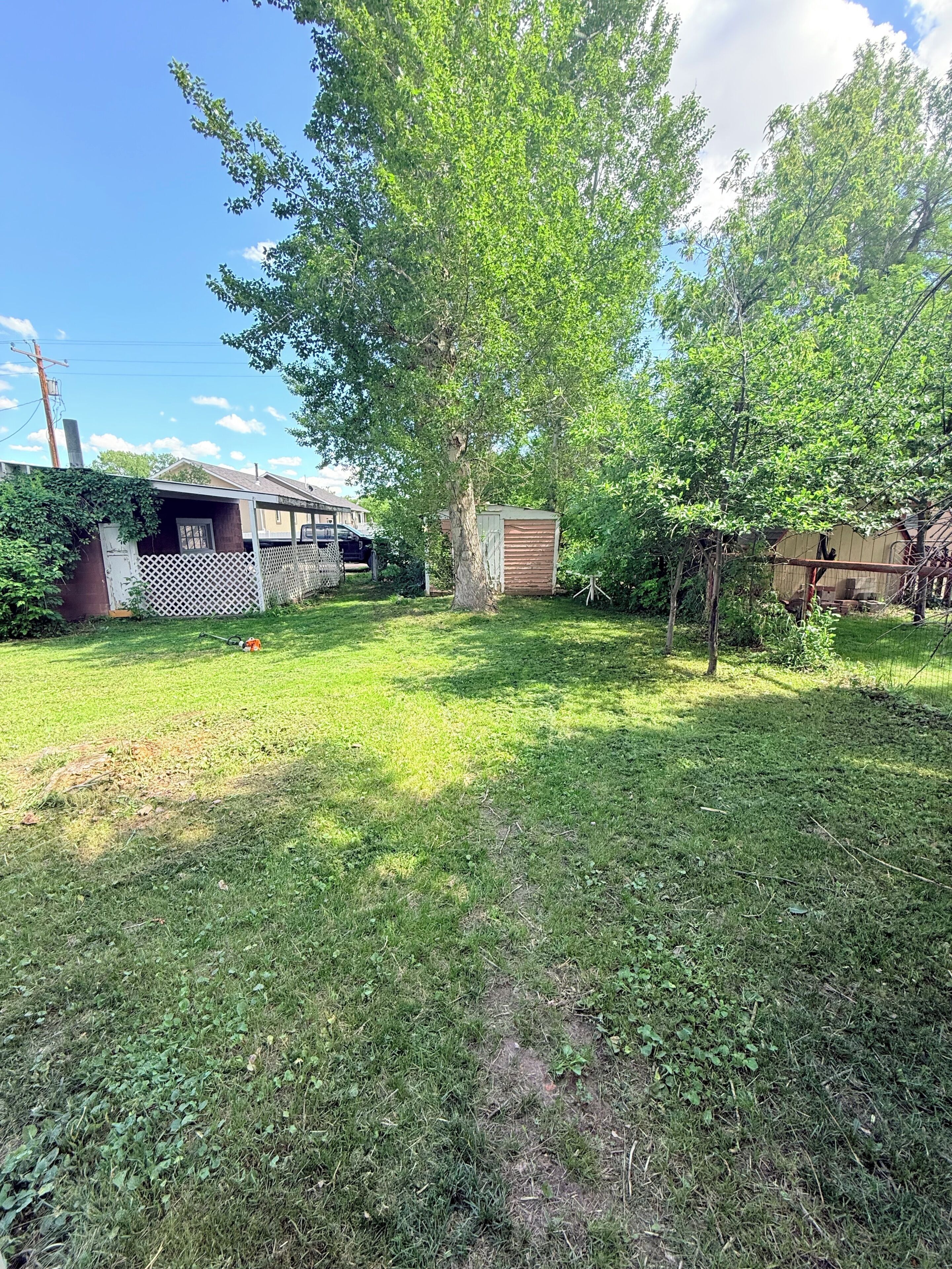 A backyard with a lawn, a tree, a shed, and a fence.