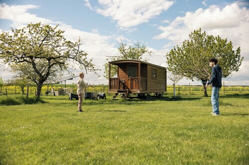 A trailer in the heart of nature, surrounded by its animals