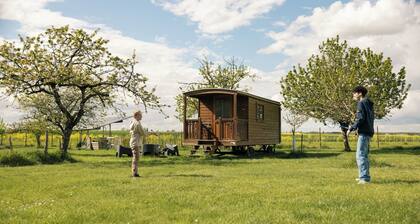 A trailer in the heart of nature, surrounded by its animals