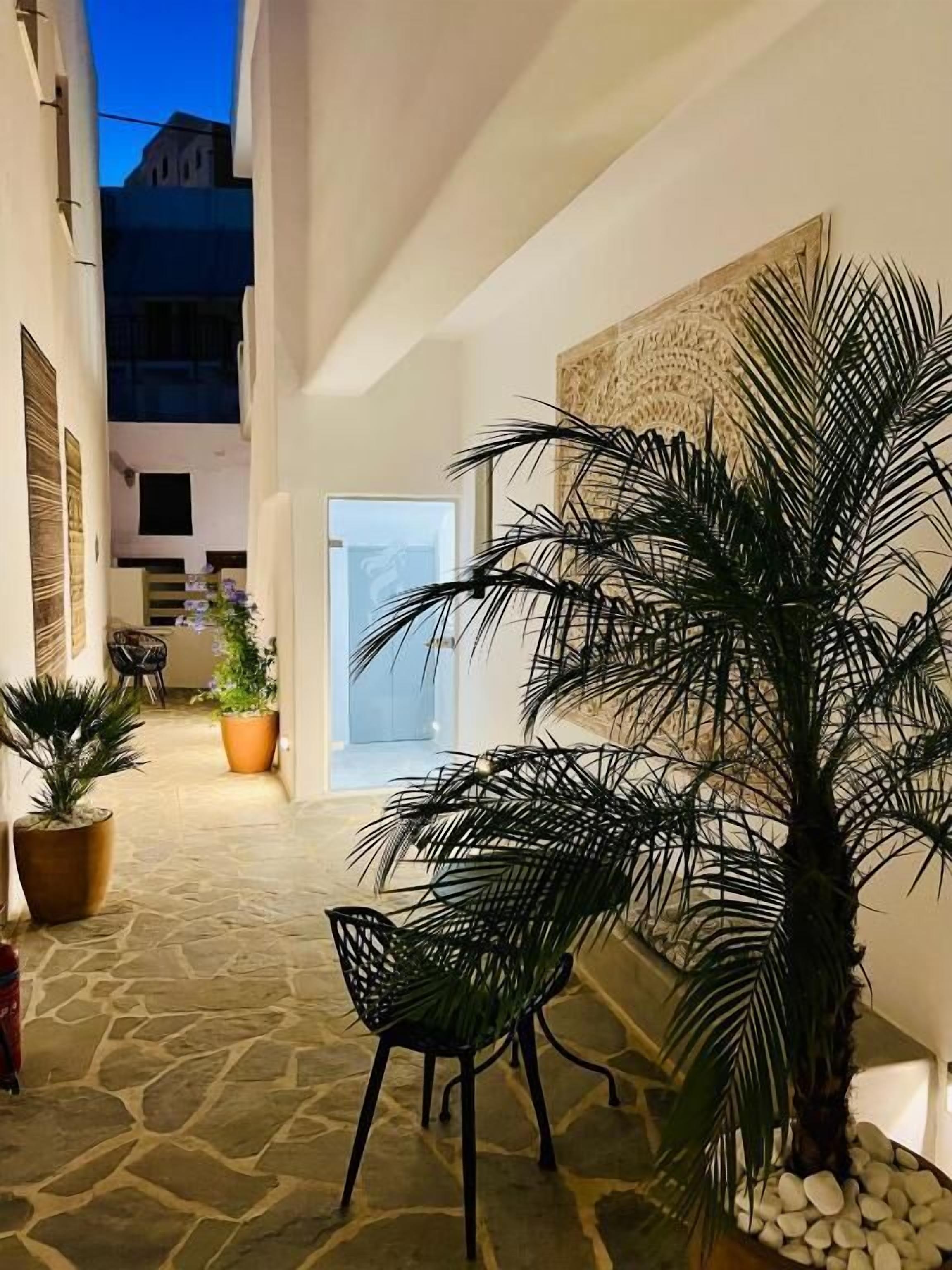 Un pasillo estrecho con una palmera, una silla y una puerta que da a otra habitación.