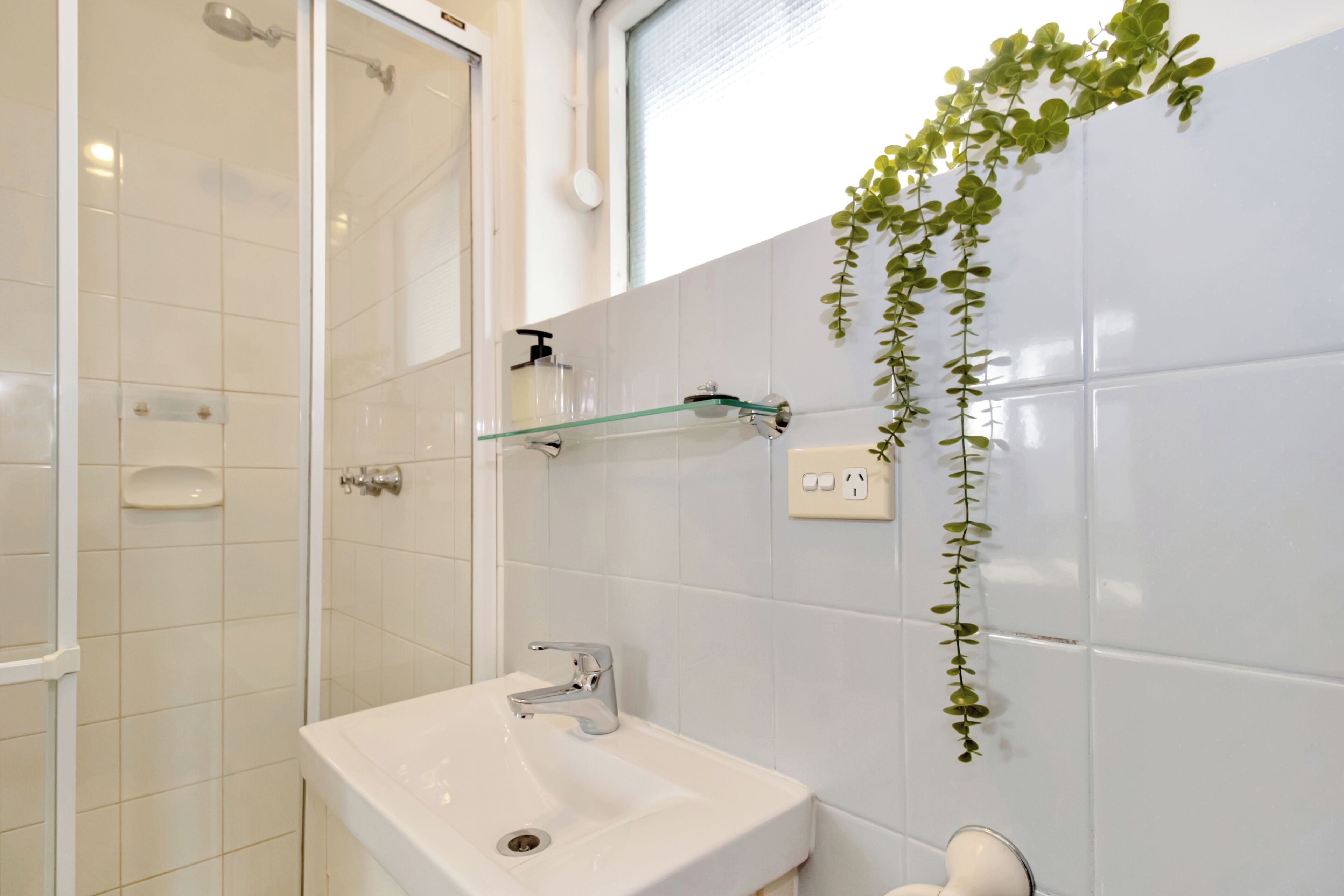 A bathroom with a white sink, glass shelf, and a hanging plant.