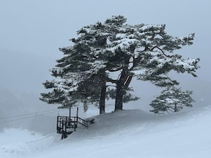 Schneebedeckte Landschaft mit einem einzelnen Baum und einer Seilbahn.
