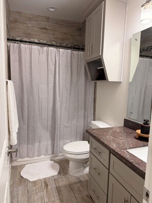 Un baño con cortina de ducha, inodoro, tocador con cajones y un espejo.
