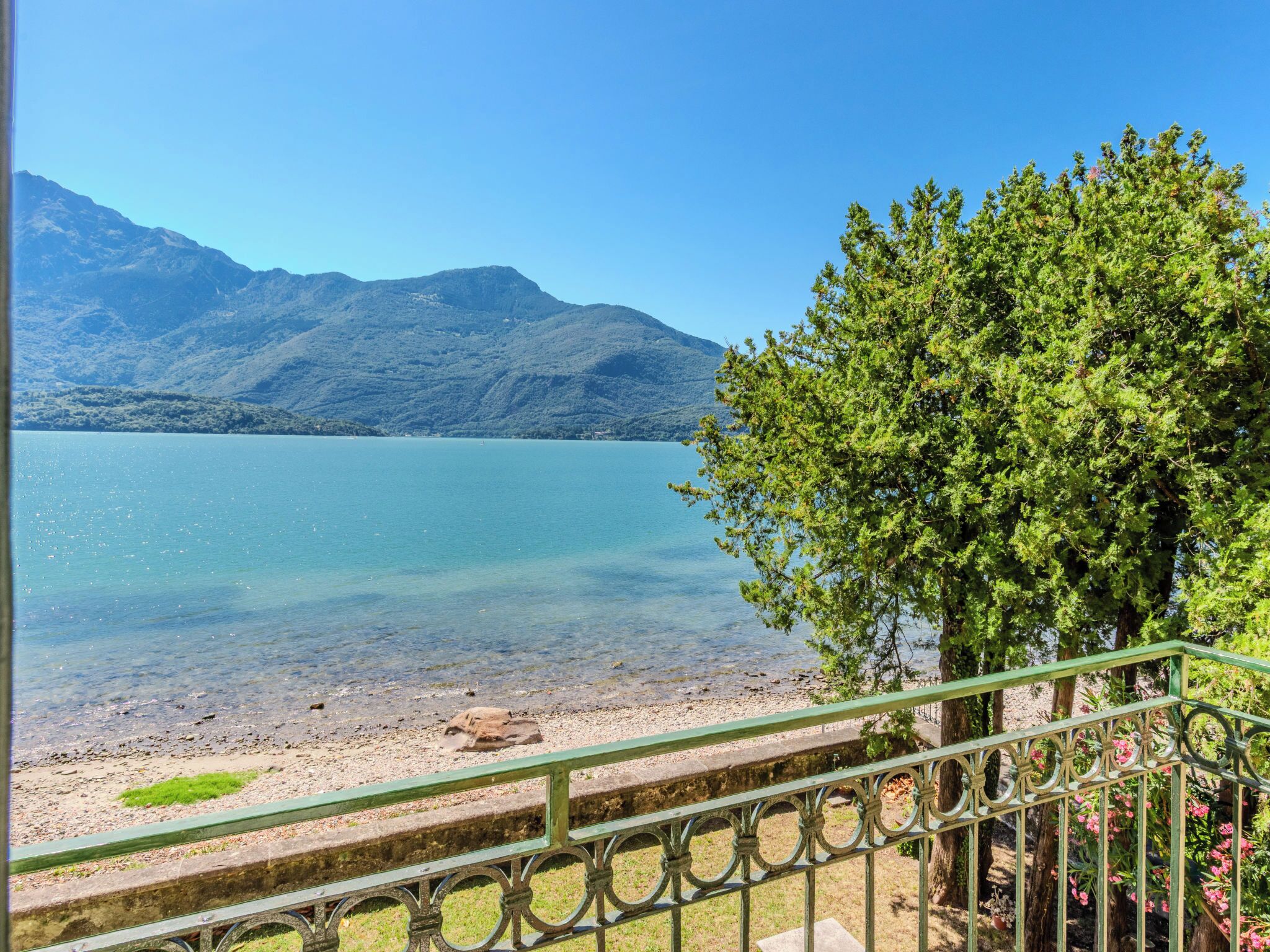 A clear view of a lake with mountains in the background, a metal railing, and a tree with pink flowers.