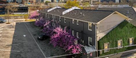 Un edificio de varios pisos con estacionamiento y una fila de árboles con flores moradas.