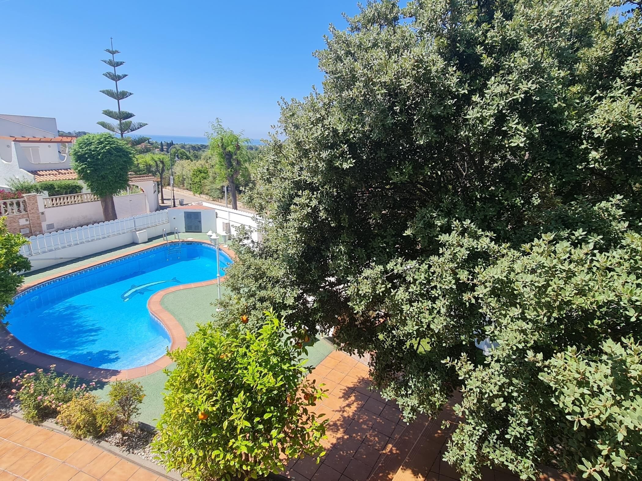 A swimming pool surrounded by greenery, a white building, and a clear blue sky.