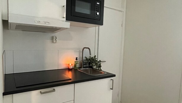 Et køkken med hvide skabe, en sort bordplade, en mikrobølgeovn, en vask og en plante.