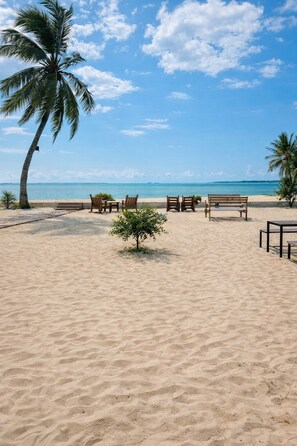 Ein Strand mit Palmen, Holzbanken und freiem Blick auf den Ozean.