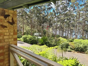 A view from a balcony with a brick wall and butterfly decorations, overlooking a forested area with ferns and a road.