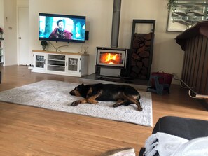 A dog lying on a rug in a living room with a TV, a fireplace, and a cabinet.