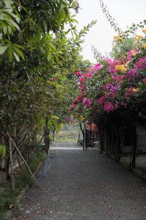 A pathway lined with lush greenery and flowering plants. - Valhalla villa (panvel)
