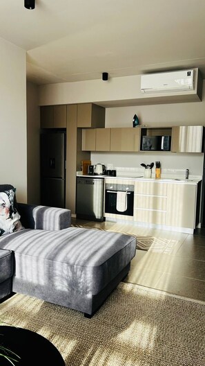 Eine moderne Küche mit Geschirrspüler, Backofen und Mikrowelle. Im Wohnbereich befindet sich eine Couch und ein Teppich.