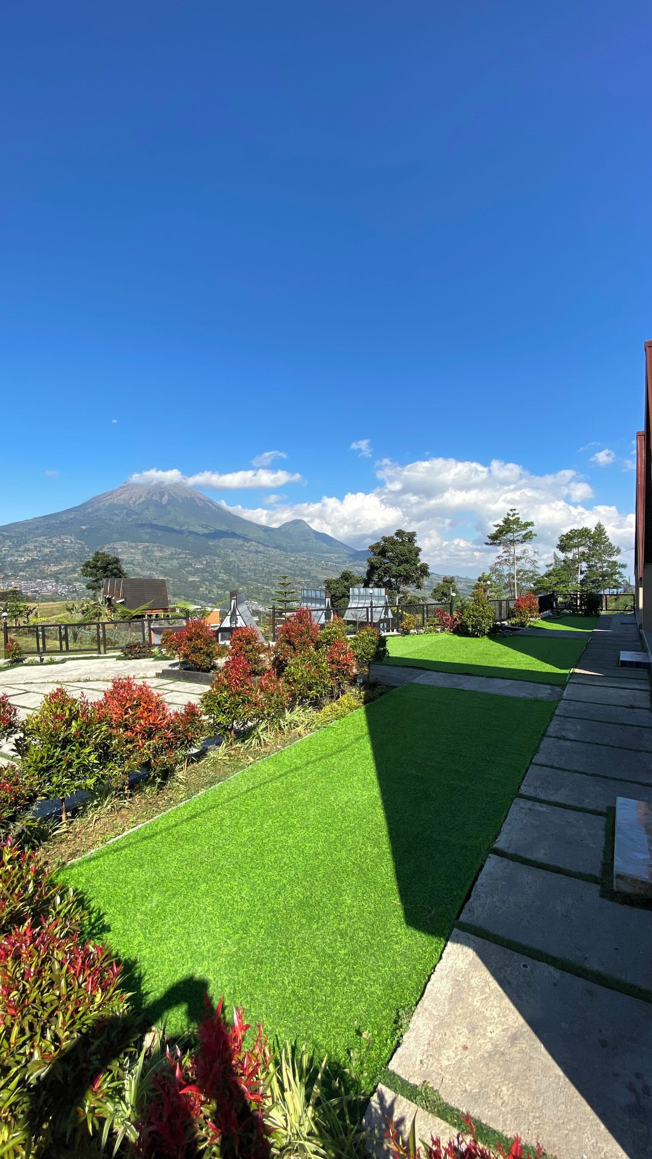 A landscaped garden with artificial grass, a variety of plants, and a view of a mountain.