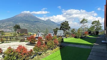 A landscaped garden with artificial grass, a variety of plants, and a view of a mountain.
