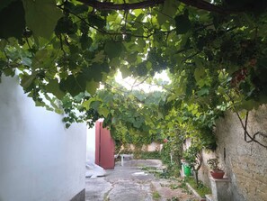 Une ruelle étroite, avec un mur couvert de lierre, une porte rouge et un pot de fleurs.