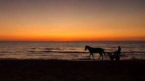 A silhouette of a horse and rider on a beach at sunset.