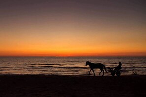 Eine Silhouette eines Reiters auf einem Pferd am Strand bei Sonnenuntergang.