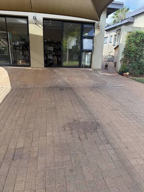 Un espace extérieur pavé, avec une entrée d’immeuble, un chien et quelques plantes en pot.