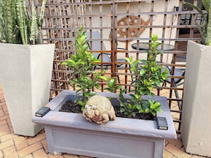 A planter with a frog sculpture and two potted plants.
