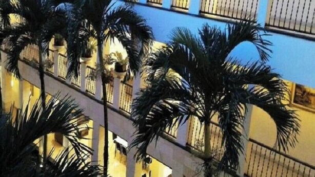 A multi-level atrium with palm trees, balconies, and potted plants. - Sany Rosa Hotel (Bandung)