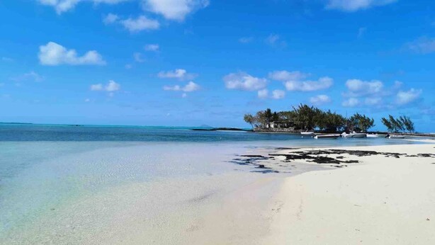 Una playa con aguas cristalinas, una orilla arenosa y un pequeño grupo de árboles.