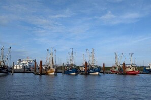 Ein Hafen mit mehreren Fischerbooten, die an der Mole festgemacht sind.