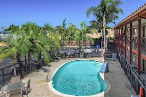 A swimming pool with a curved edge, surrounded by a fence, and palm trees.