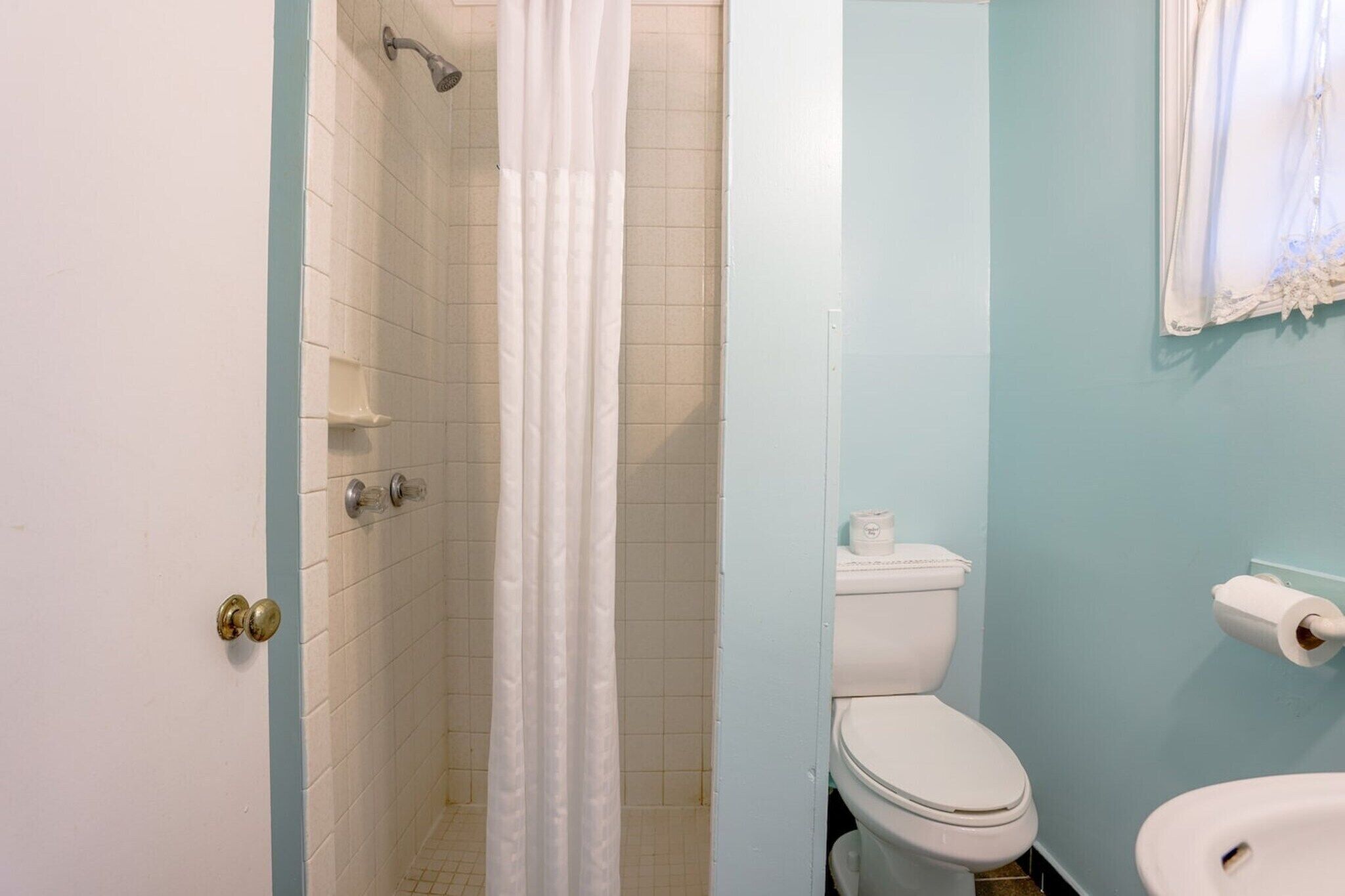 Shower, hair dryer