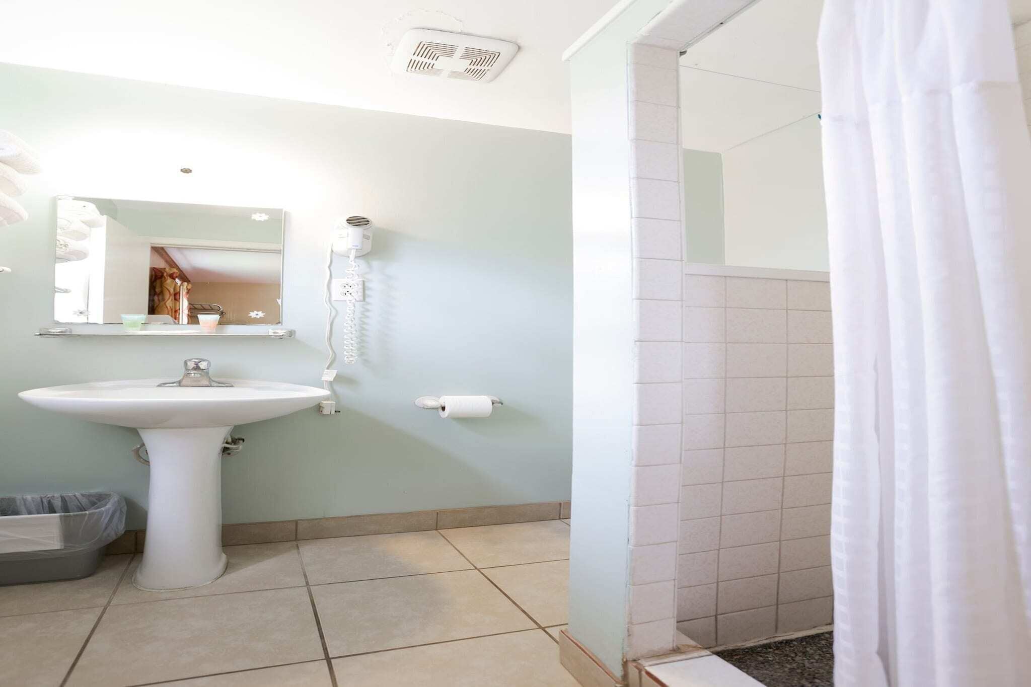 Shower, hair dryer