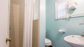 Shower, hair dryer