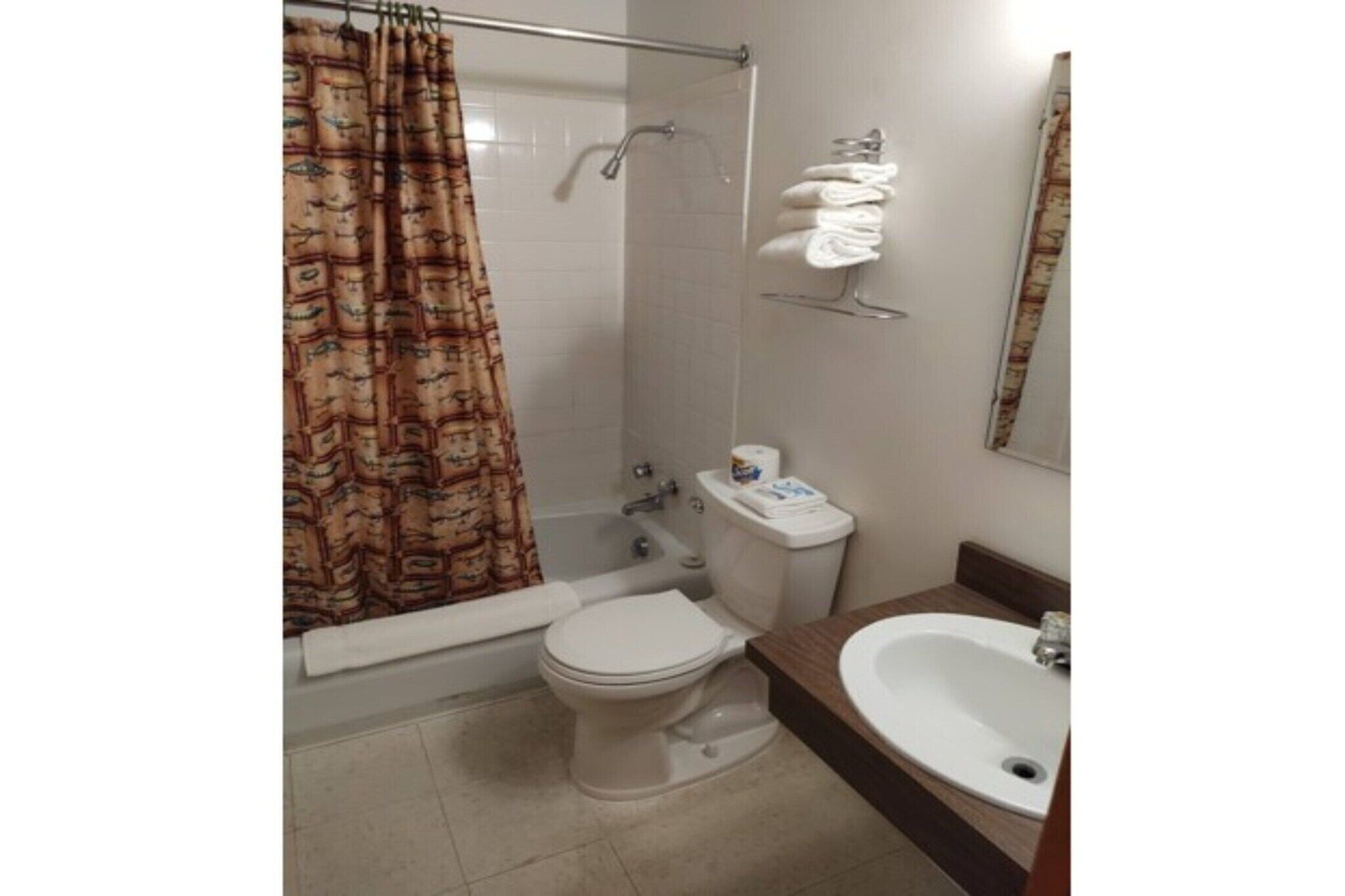 Shower, hair dryer