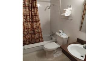 Shower, hair dryer