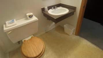 Shower, hair dryer