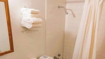 Shower, hair dryer