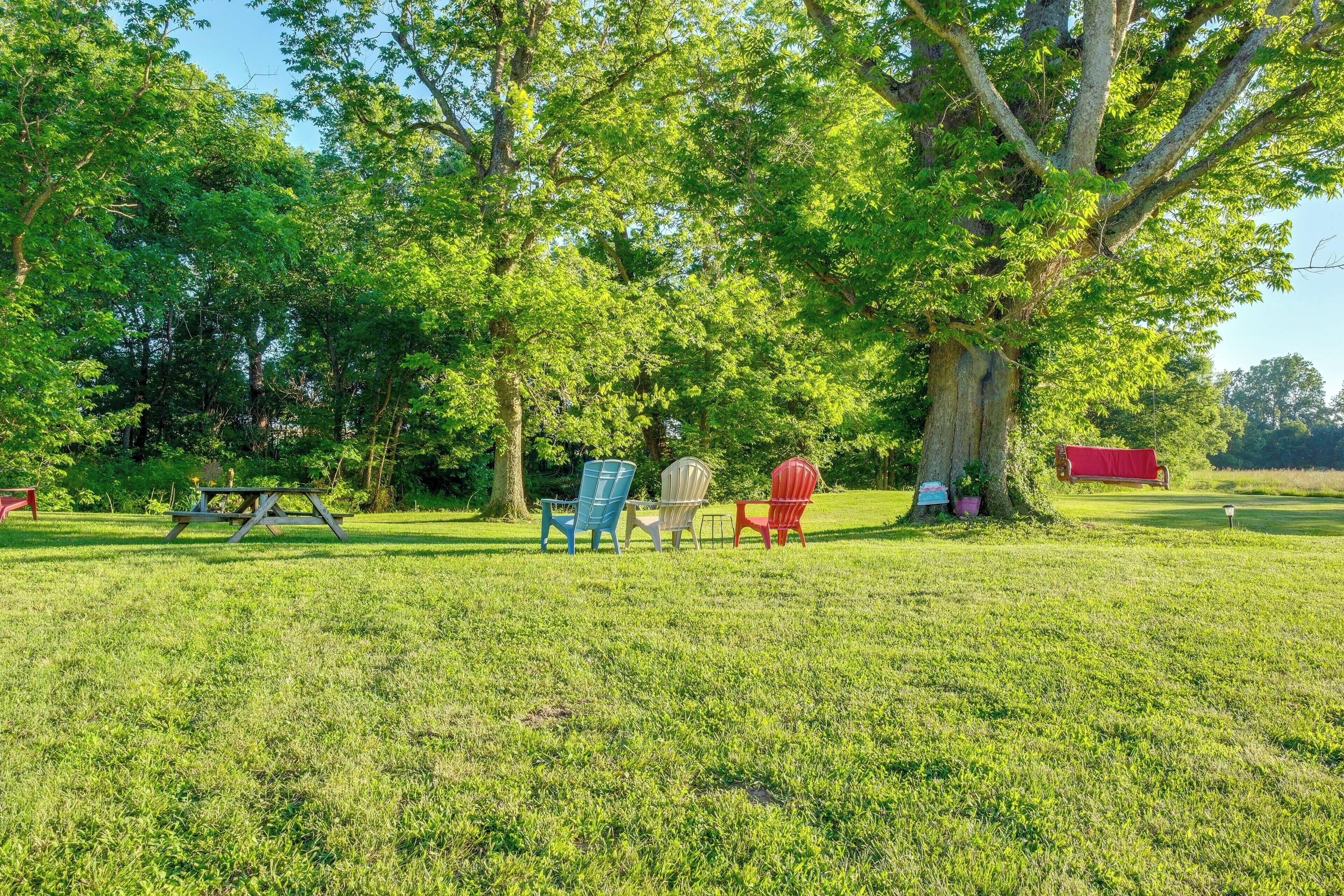 Un espacio al aire libre con césped, mesas de picnic y sillas Adirondack bajo un gran árbol.