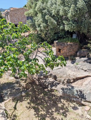 A stone building with a rustic exterior, surrounded by dense greenery and trees. - Traditional house (Figari)