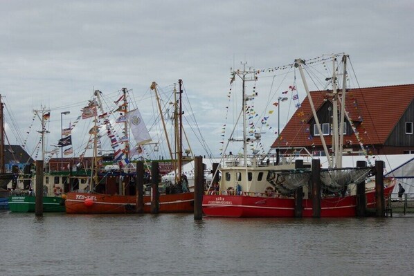 A harbor with several fishing boats docked, a building with a red roof, and flags on the boats. - Holiday home in Burhave with swimming pool (Burhave)