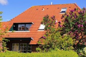 Ein Haus mit rotem Ziegeldach, einem kleinen Fenster und einem Garten mit violetten Blumen.