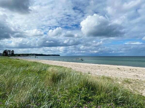 A beach with a grassy foreground, a metal railing along the shore, and a cloudy sky. - Bright holiday home with large terrace near Nyborg (Nyborg)