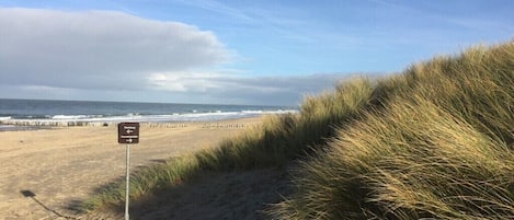 Playa