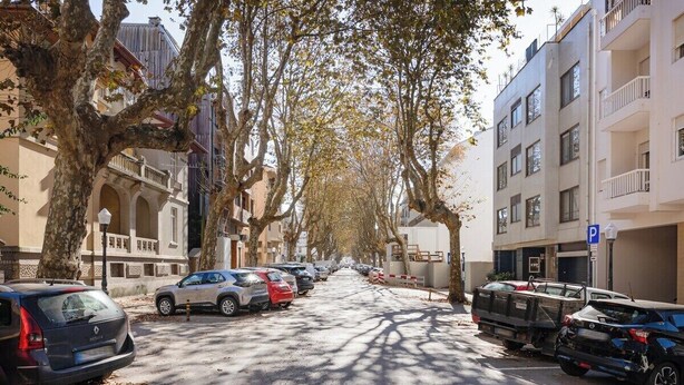 A tree-lined street with parked cars and buildings on either side. - Charming 3BR w/ Office Garage by Foz Beaches (Porto)