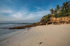 Ein Strand mit blauem Himmel, einem felsigen Felsen und Palmen.