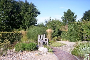 Ein Garten mit einer Bank, einem Kiesweg und verschiedenen Pflanzen.