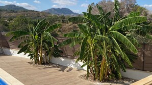 Una terraza en la azotea con grandes plantas de plátano, una piscina y vistas a montañas distantes.