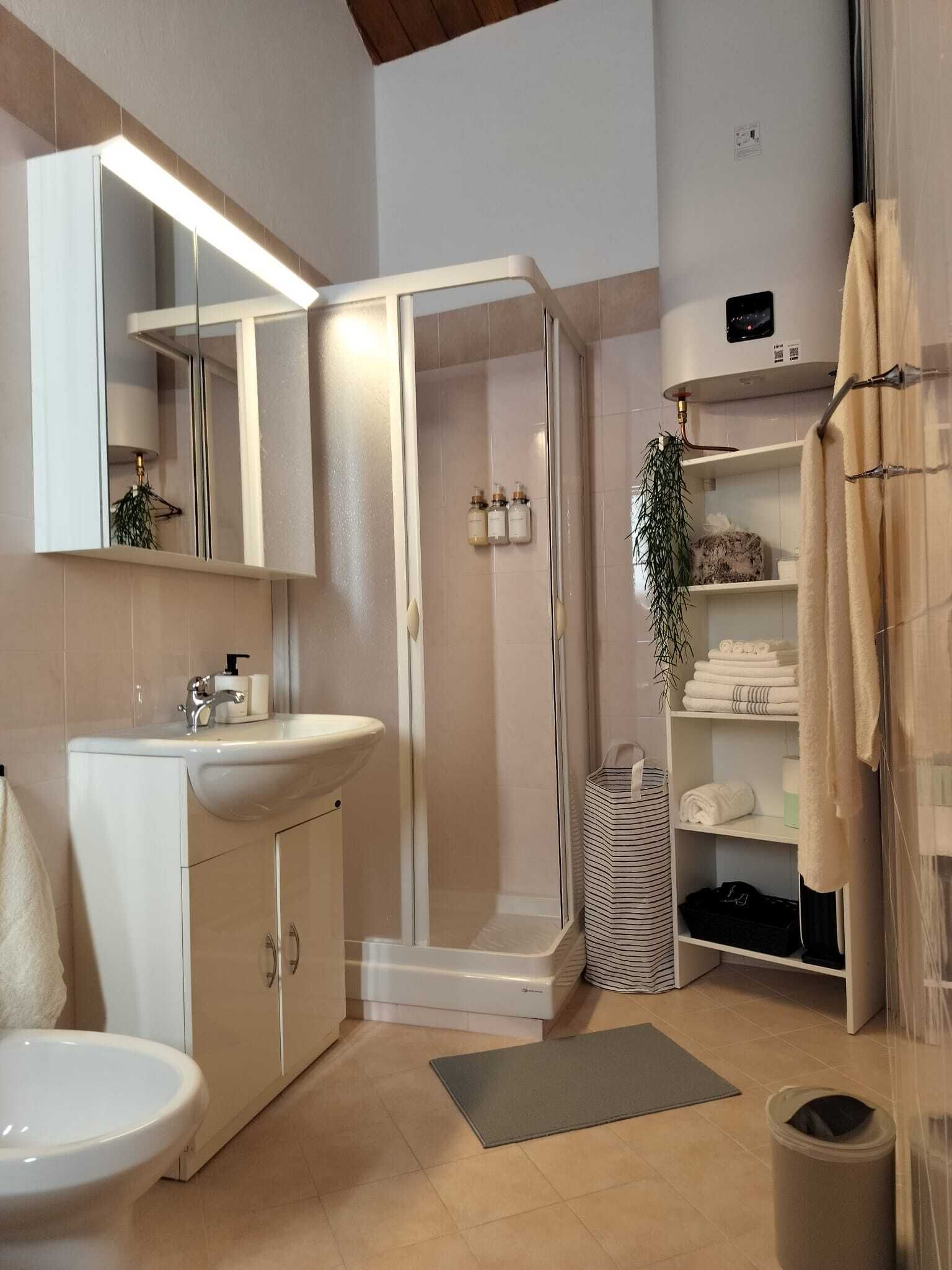 Shower, hair dryer, bidet, towels
